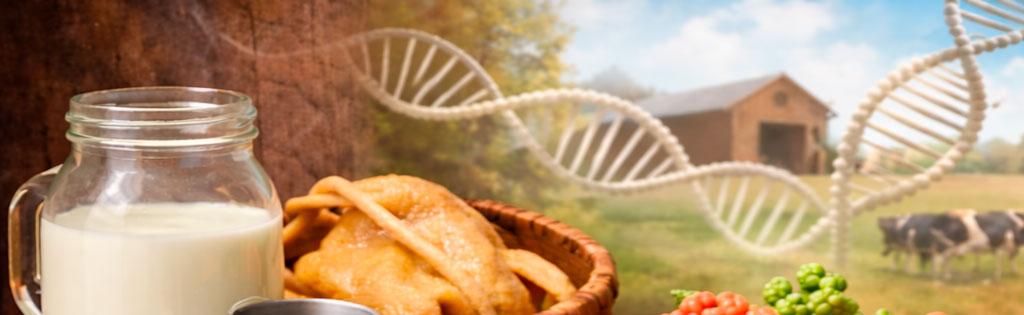 Что такое сычужный фермент и его роль в сыроделии